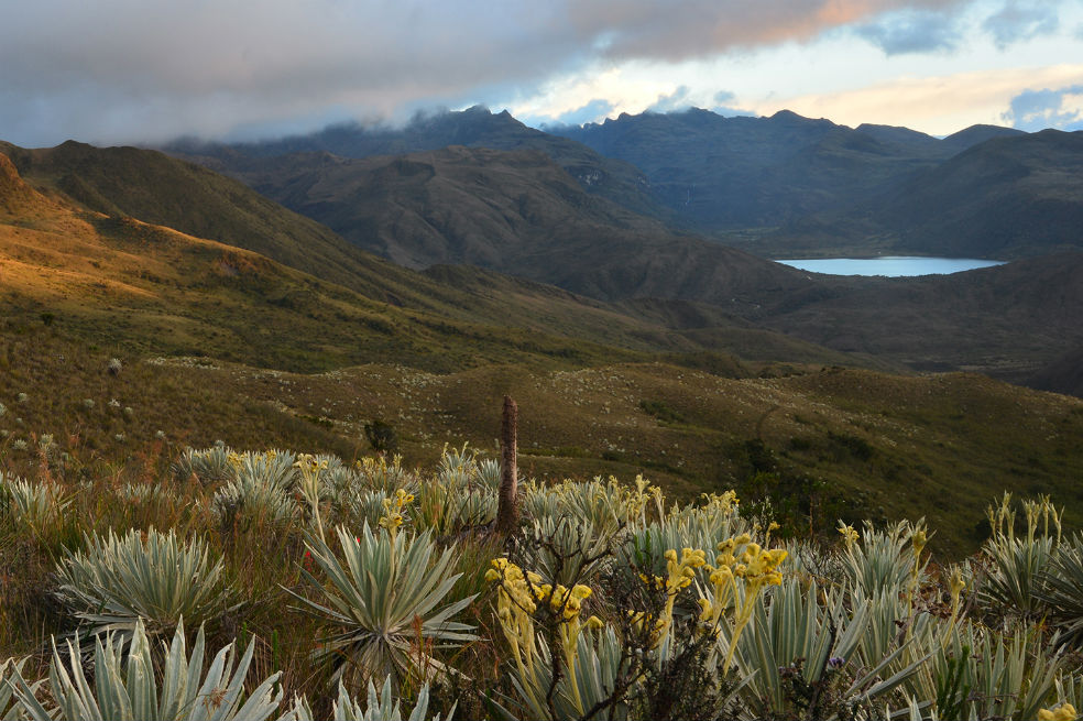 La laguna de Chingaza está ubicada en la cordillera Oriental de los Andes, al noreste de Bogotá. Sus ecosistemas predominantes son bosques alto andinos y páramos.  / Cortesía Róbinson Galindo