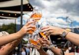 Vino al Parque Medellín 2026: fechas, entradas y todo lo que debe saber