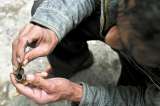 Rehabilitación de basuco en habitantes de calle: entre la represión y el castigo