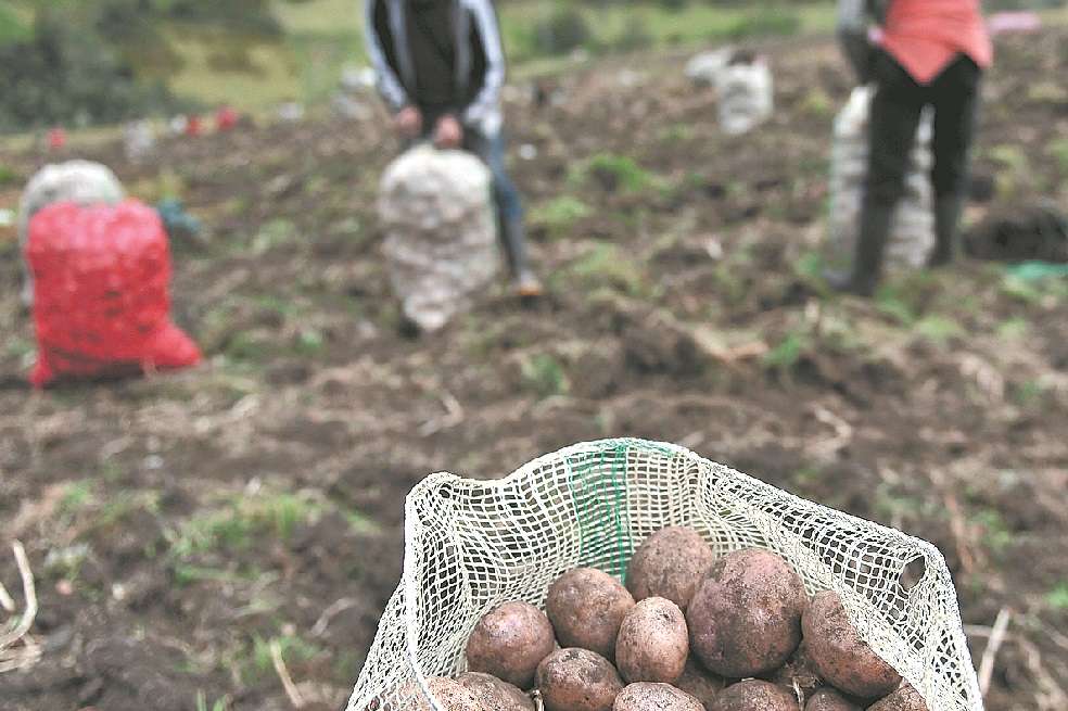 Para la infraestructura social en el campo se propone un fondo multisectorial.