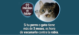 ¡Prográmese! Gran jornada de vacunación contra la rabia este fin de semana en Bogotá