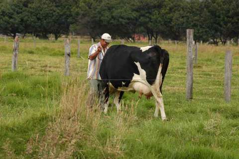 Expropiación y reforma agraria