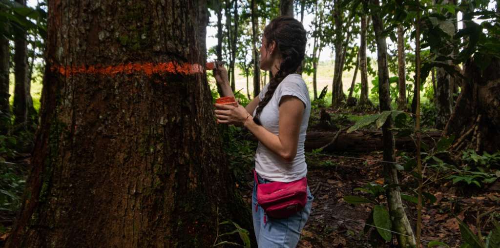 Capacitación en viverismo con especies nativas en Amazonía Emprende en Caquetá