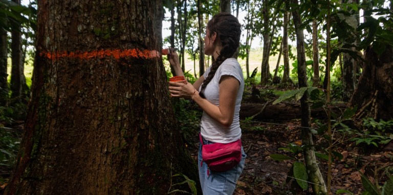 Una metodología para restaurar ecosistemas con jóvenes ganaderos