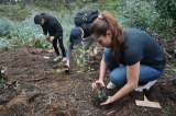 Estos colegios colombianos se convirtieron en un ejemplo en proteger la naturaleza