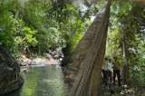 Estos dos pueblos lo llevan a descubrir la Serranía del Perijá en Colombia: ¿cómo llegar?