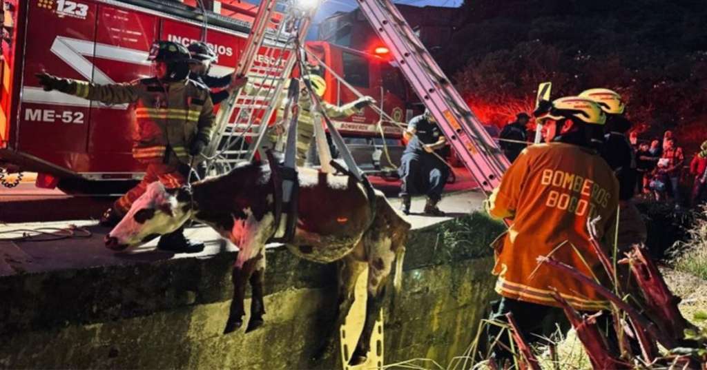 En el lugar se estableció una técnica de rescate con cuerdas empleada para este tipo de incidentes.