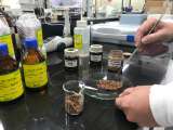 Corona y Ecopetrol desarrollan producto para retirar aceites del agua