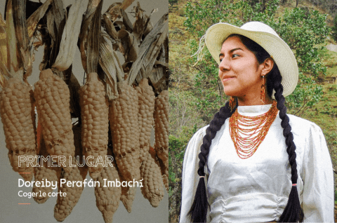 Conozca los ganadores del Premio Arte Joven 2023