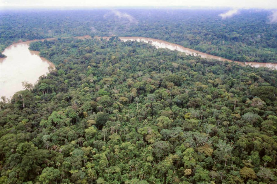 El 17% de la selva amazónica ha sido degradada. / Archivo El Espectador