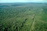 Confirman primer caso de COVID-19 en la frontera de Brasil con Colombia