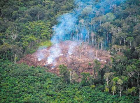 La Comisión de la Verdad reconoce la naturaleza como víctima del conflicto armado