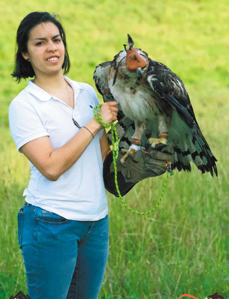 Ana María Morales con una águila real de montaña juvenil que fue liberada en febrero. / Cortesía Fundación Águilas de Los Andes