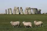 La Unesco quiere poner a Stonehenge en la lista de patrimonio en peligro