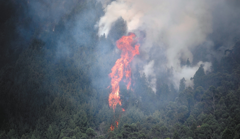 Incendios forestales - Cerros Orientales - Bogotá