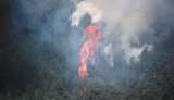 Esta es la situación de los incendios en Colombia este sábado 27 de enero