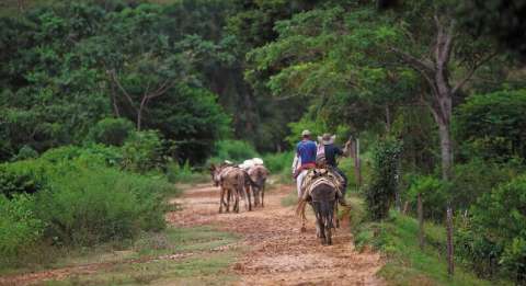 Restituyen finca a campesino que perdió una pierna y un brazo por mina antipersona