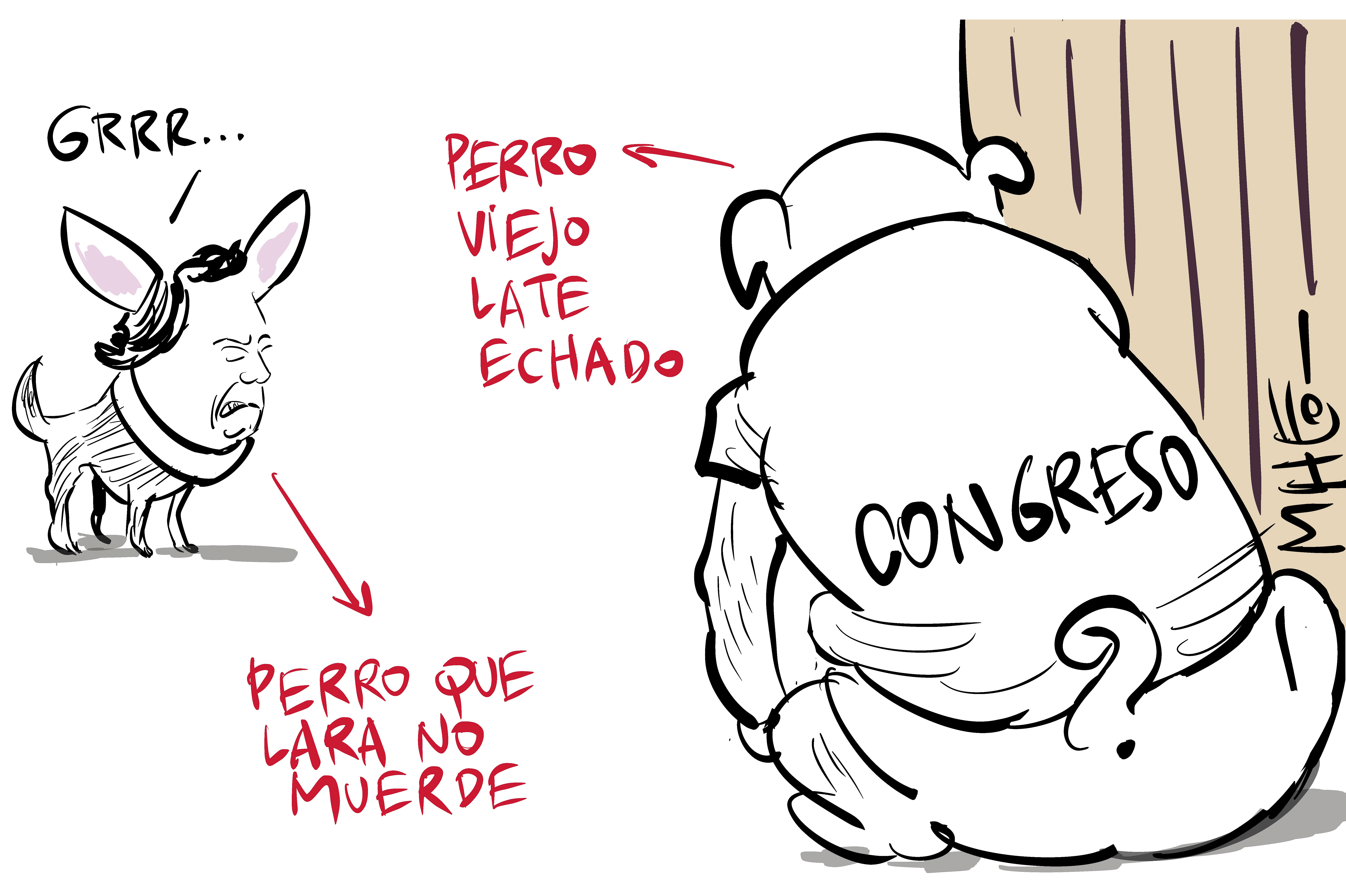 Caricaturas