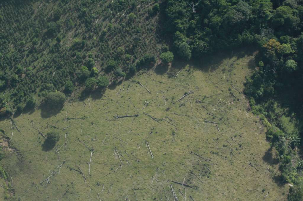 Deforestación en el PNN Sierra de la Macarena.