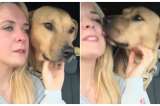 Perro rescatado intenta animar a su cuidadora sin saber que él es la razón de sus lágrimas