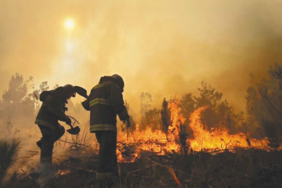 En 2019, el presupuesto de la Gobernación de Cundinamarca para bomberos es de $340 millones. / Archivo El Espectador.