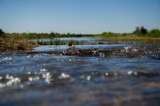 La crisis del agua por cambio climático sería más grave de lo que se creía