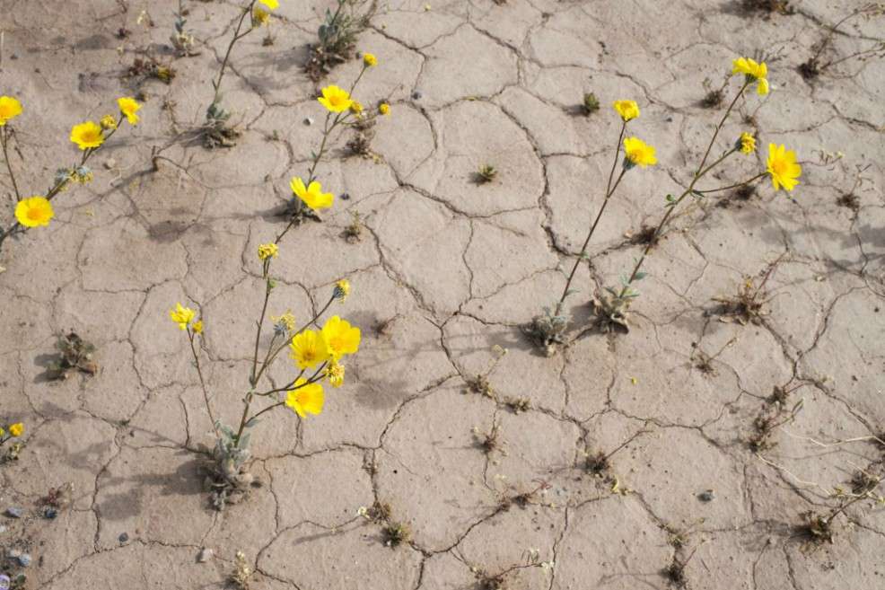 El oeste de Estados Unidos registra actualmente una intensa ola de calor.