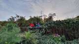 Un oasis bajo las líneas, conexiones que inspiran