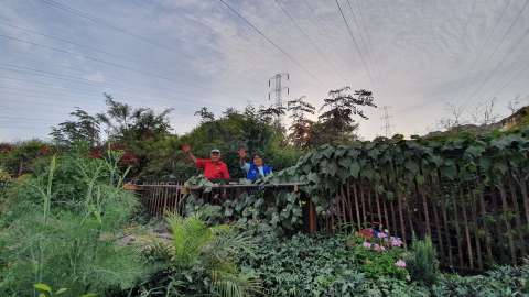 Un oasis bajo las líneas, conexiones que inspiran