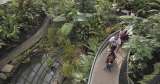 Tropicario del Jardín Botánico, la joya escondida de Bogotá