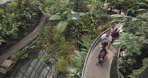 Jardín Botánico de Bogotá tendrá exposición de Bonsáis: conozca horarios y precio