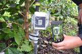 Internet de las cosas avanza en el agro colombiano