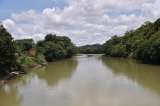 Defensoría alerta brote de paludismo que habría agravado paro armado en Chocó
