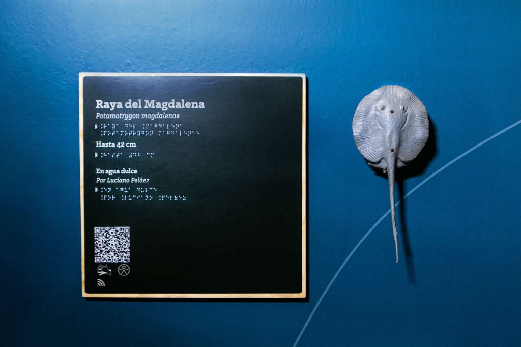 Una de los paneles con con relieve en braille en el acuario de Medellín. /Parque Explora