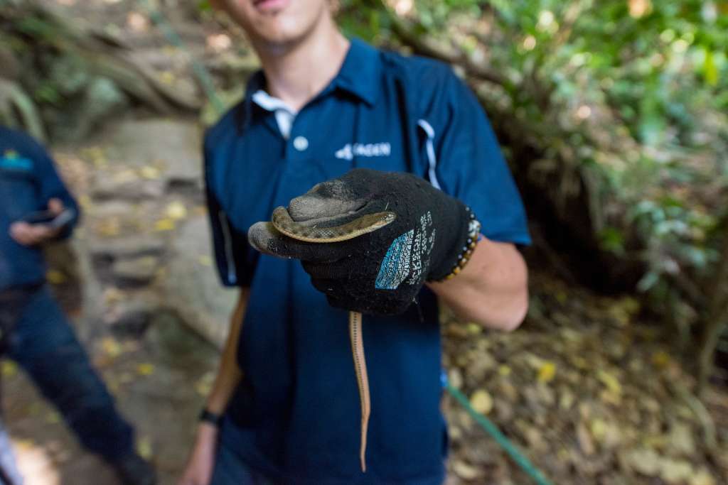 Áreas protegidas, elementos claves para la protección y conservación del agua