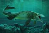 “Tylosaurus rex”, el nuevo reptil marino de 13 metros descrito por un grupo de paleontólogos