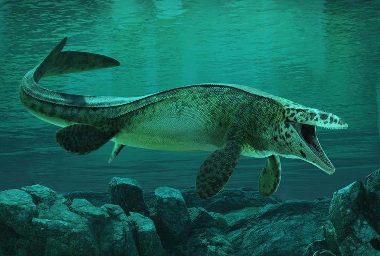 “Tylosaurus rex”, el nuevo reptil marino de 13 metros descrito por un grupo de paleontólogos