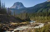 “Visite un parque natural”: la nueva receta que prescriben los doctores en Canadá