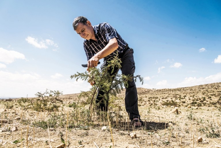 El hombre que hizo florecer el desierto