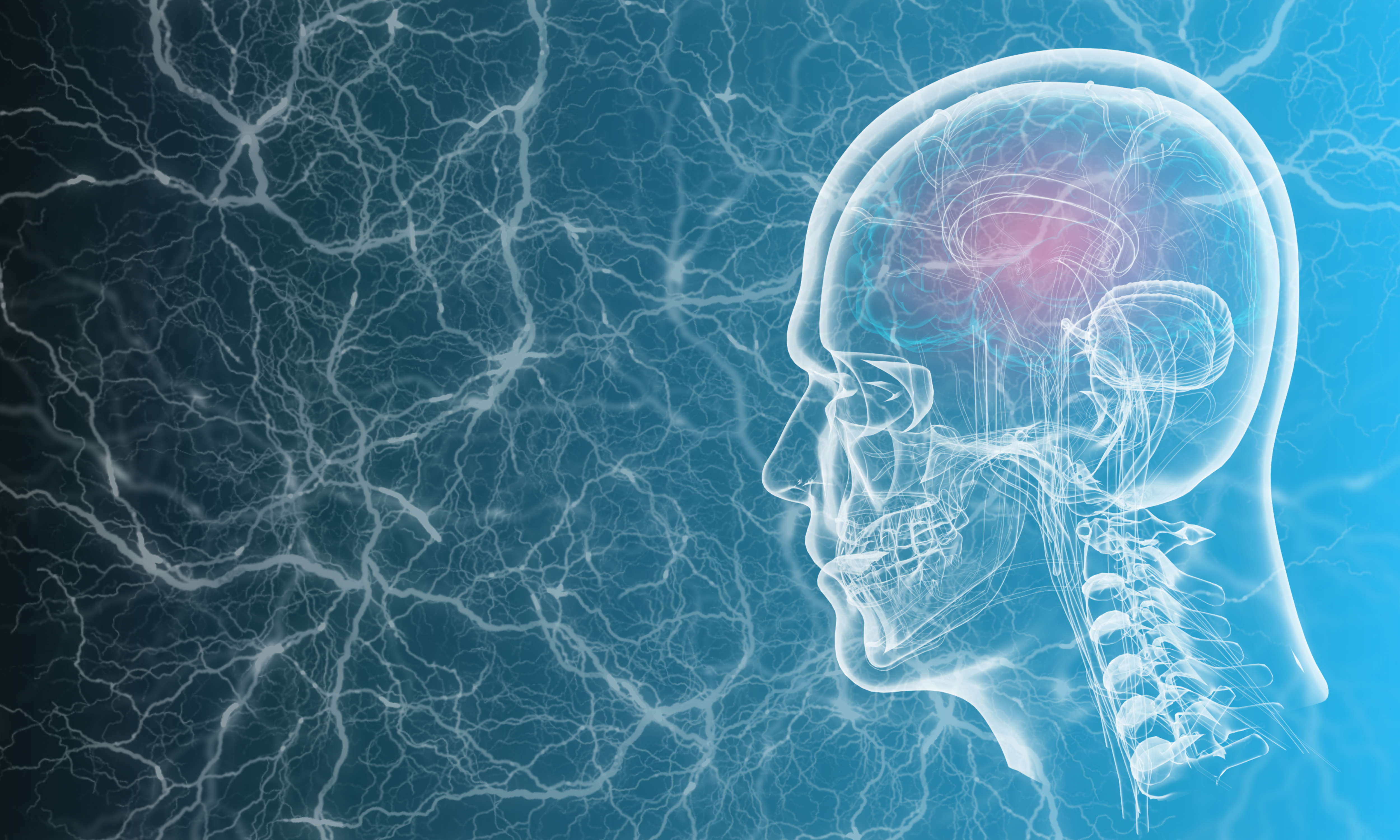 Human brain on technology background