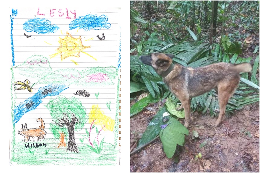 Este es el dibujo que los niños indígenas hicieron en honor a Wilson.