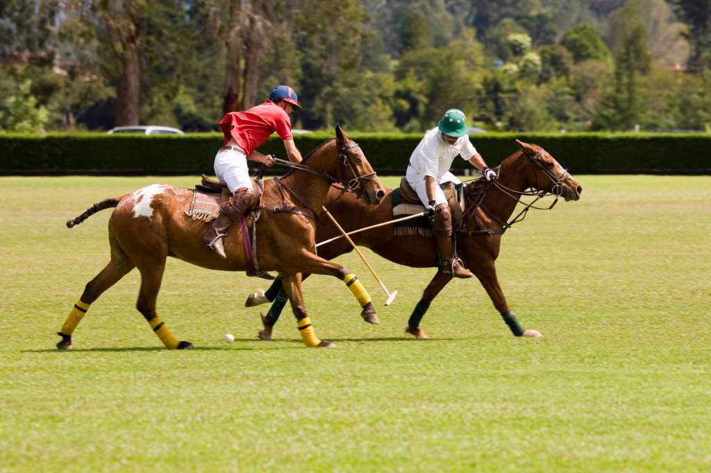 Polo