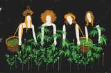 Mujeres y drogas: un llamado a cuestionar estereotipos y apostarle a la formación