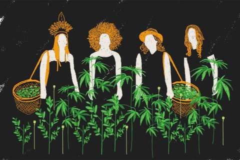 Mujeres y drogas: un llamado a cuestionar estereotipos y apostarle a la formación