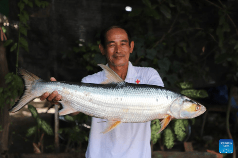 Un pez gigante que parecía extinto apareció en un lugar inesperado