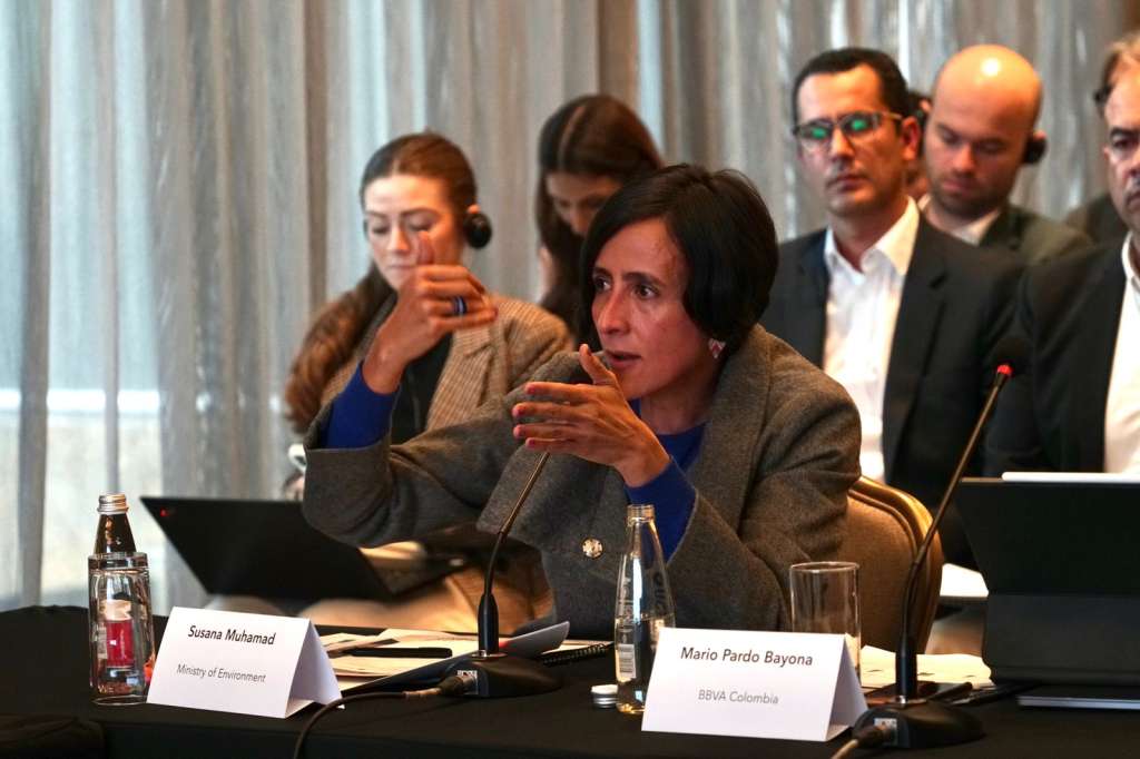 El anuncio se realizó durante el CEO meeting del Climate finance leadership initiative