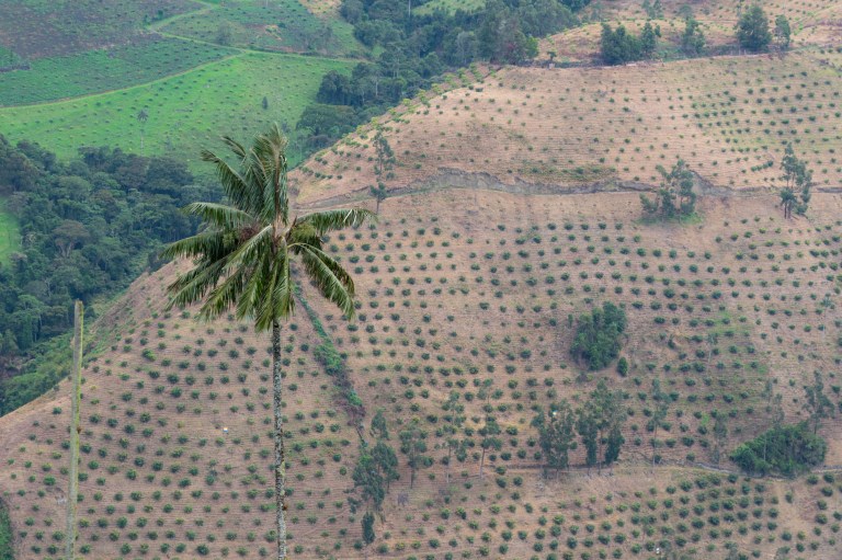 Planes para hacer fuera de Bogotá: Toche, Tolima, el hogar del volcán Machín