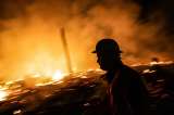 Cambio climático: ¿cuál es el costo económico de los incendios forestales?
