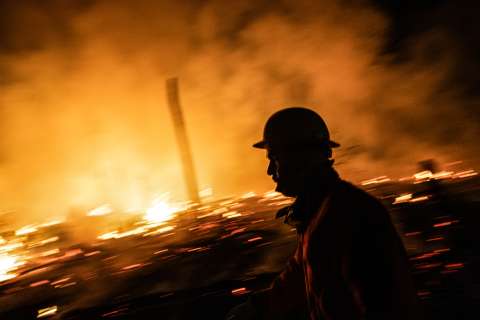 Cambio climático: ¿cuál es el costo económico de los incendios forestales?
