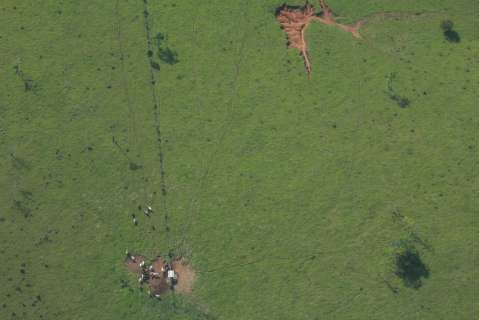 Seguirle el rastro a la carne: el plan de Colombia para frenar la deforestación